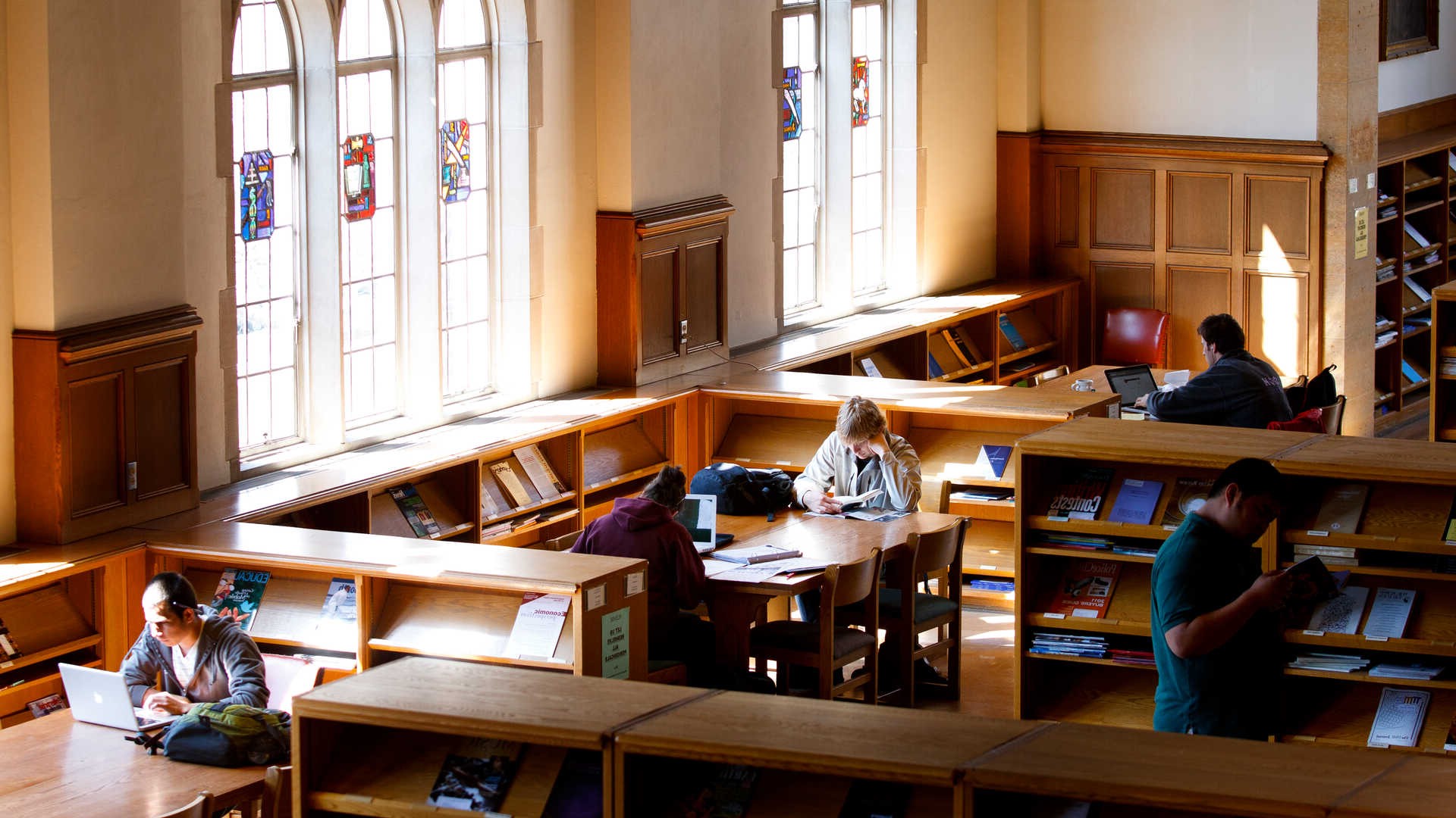 Students studying in library