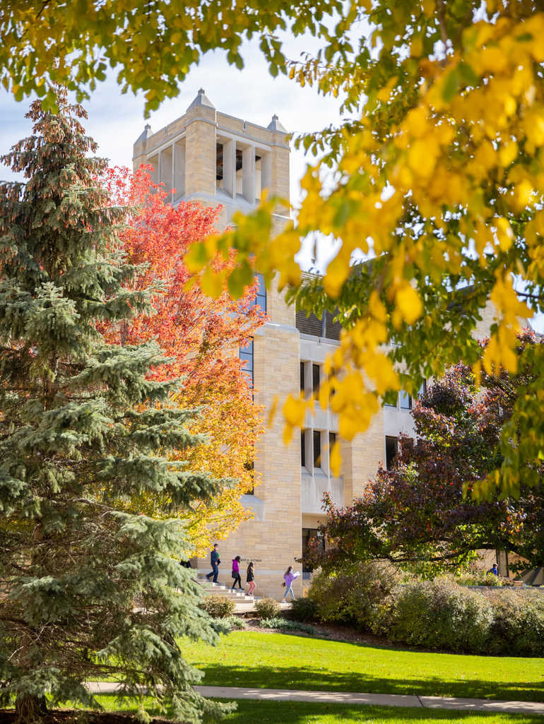 St Thomas library viewed through autumn leaves